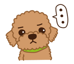 Toy Poodle "Captain" sticker #4722672