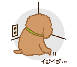 Toy Poodle "Captain" sticker #4722673