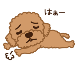 Toy Poodle "Captain" sticker #4722675