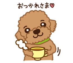 Toy Poodle "Captain" sticker #4722678