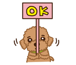 Toy Poodle "Captain" sticker #4722680