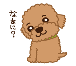 Toy Poodle "Captain" sticker #4722683