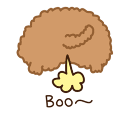 Toy Poodle "Captain" sticker #4722687