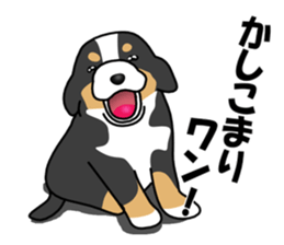 DAISUKE of the Bernese Mountain Dog sticker #4725777