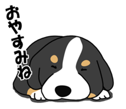 DAISUKE of the Bernese Mountain Dog sticker #4725781