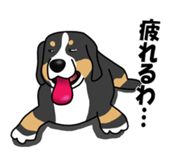 DAISUKE of the Bernese Mountain Dog sticker #4725782