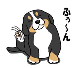 DAISUKE of the Bernese Mountain Dog sticker #4725783