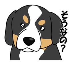 DAISUKE of the Bernese Mountain Dog sticker #4725784