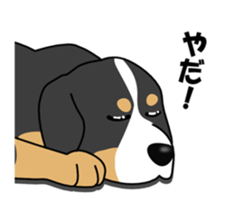 DAISUKE of the Bernese Mountain Dog sticker #4725787