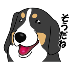 DAISUKE of the Bernese Mountain Dog sticker #4725788