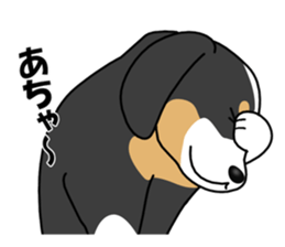 DAISUKE of the Bernese Mountain Dog sticker #4725789