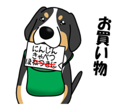 DAISUKE of the Bernese Mountain Dog sticker #4725791