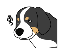 DAISUKE of the Bernese Mountain Dog sticker #4725792