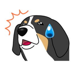 DAISUKE of the Bernese Mountain Dog sticker #4725794