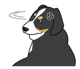 DAISUKE of the Bernese Mountain Dog sticker #4725795