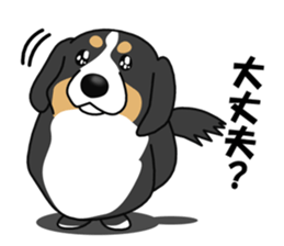 DAISUKE of the Bernese Mountain Dog sticker #4725799