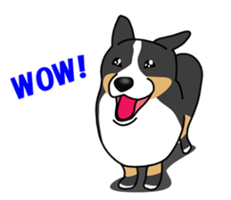 DAISUKE of the Bernese Mountain Dog sticker #4725801