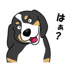 DAISUKE of the Bernese Mountain Dog sticker #4725804