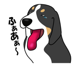 DAISUKE of the Bernese Mountain Dog sticker #4725807