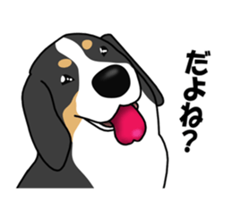 DAISUKE of the Bernese Mountain Dog sticker #4725808