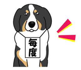 DAISUKE of the Bernese Mountain Dog sticker #4725809