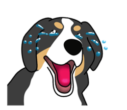 DAISUKE of the Bernese Mountain Dog sticker #4725811