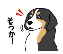 DAISUKE of the Bernese Mountain Dog sticker #4725812