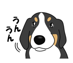 DAISUKE of the Bernese Mountain Dog sticker #4725813