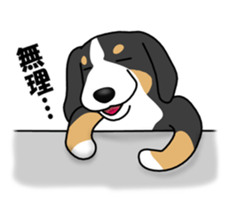 DAISUKE of the Bernese Mountain Dog sticker #4725814