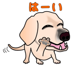 Labradoda sticker #4726576