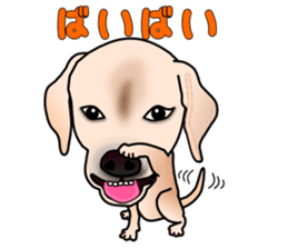 Labradoda sticker #4726579