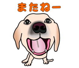 Labradoda sticker #4726580