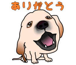 Labradoda sticker #4726581