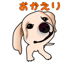 Labradoda sticker #4726583