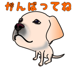 Labradoda sticker #4726585