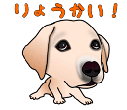 Labradoda sticker #4726586