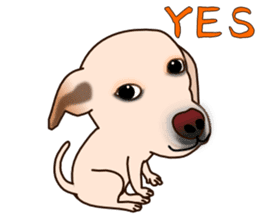 Labradoda sticker #4726588