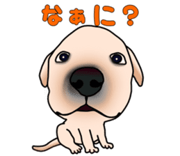 Labradoda sticker #4726591