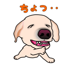 Labradoda sticker #4726594