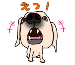 Labradoda sticker #4726596