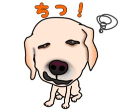 Labradoda sticker #4726597