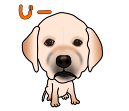 Labradoda sticker #4726598