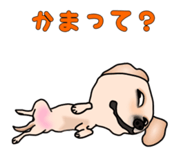 Labradoda sticker #4726605