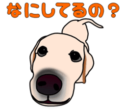 Labradoda sticker #4726606