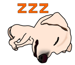 Labradoda sticker #4726609