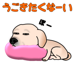 Labradoda sticker #4726610