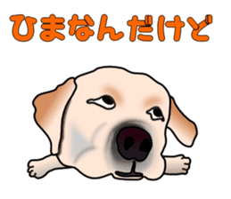 Labradoda sticker #4726614