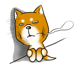 Japanese Shiba Inu Sticker. sticker #4727022