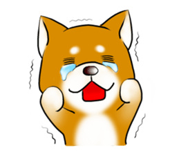 Japanese Shiba Inu Sticker. sticker #4727023