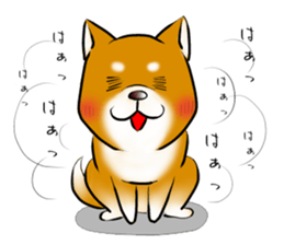 Japanese Shiba Inu Sticker. sticker #4727025